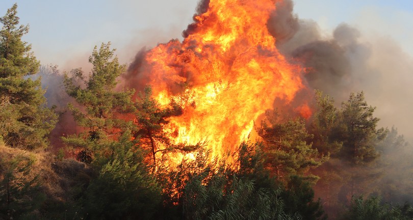 zmir Selçuk’ta orman yangını: 4 uçak, 8 helikopter ve 44 arazözle müdahale ediliyor