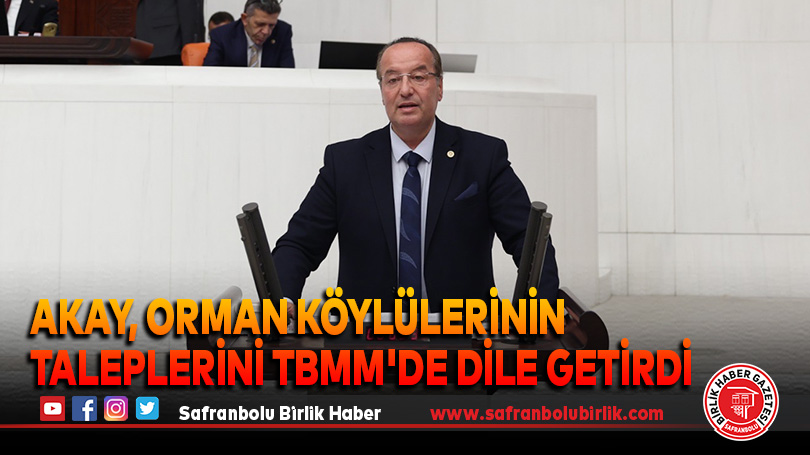 Akay, Orman Köylülerinin Taleplerini TBMM’de Dile Getirdi