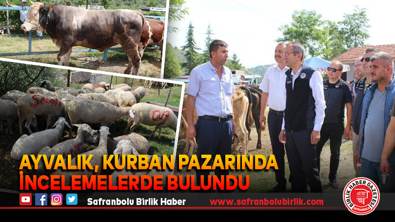 Ayvalık, Kurban Pazarında İncelemelerde Bulundu