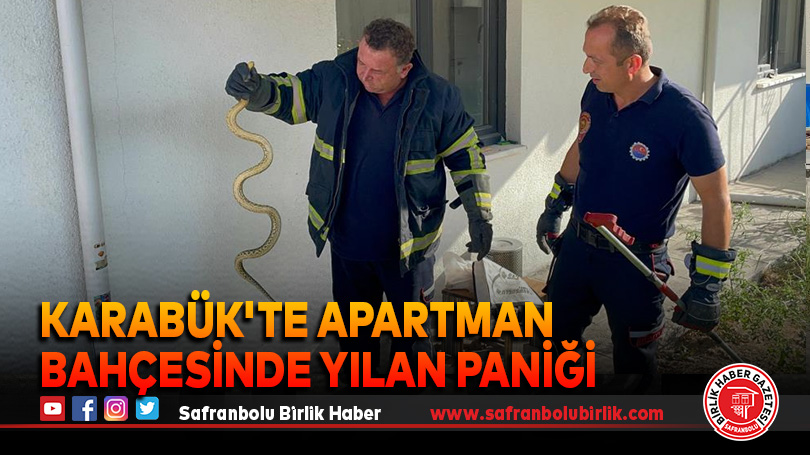 Karabük’te Apartman Bahçesinde Yılan Paniği