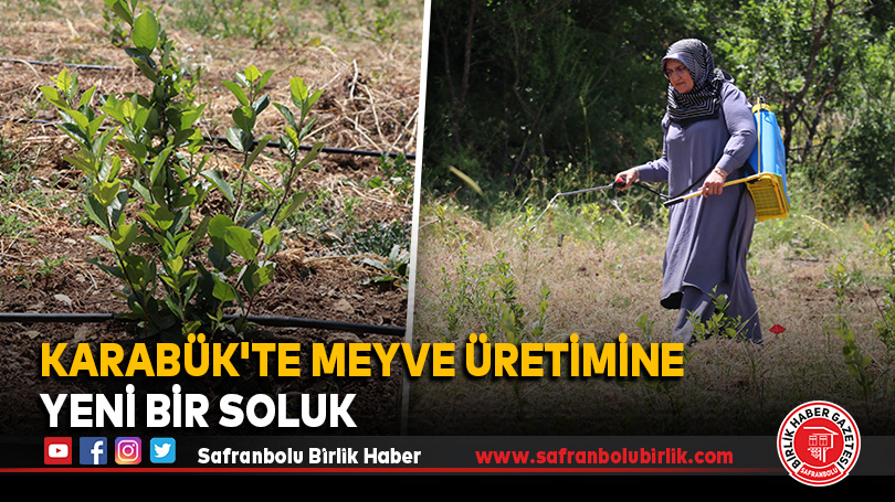 Karabük’te Meyve Üretimine Yeni Bir Soluk