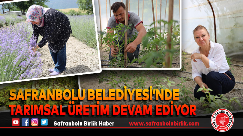 Safranbolu Belediyesi’nde Tarımsal Üretim Devam Ediyor
