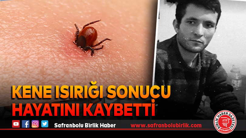 Sivas’ta kene ısırığı ölüm getirdi