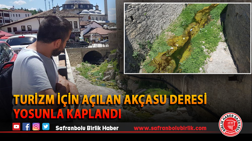 Turizm için açılan Akçasu Deresi yosunla kaplandı