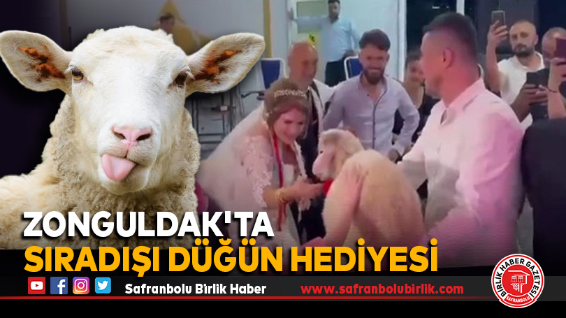 Zonguldak’ta Sıradışı Düğün Hediyesi