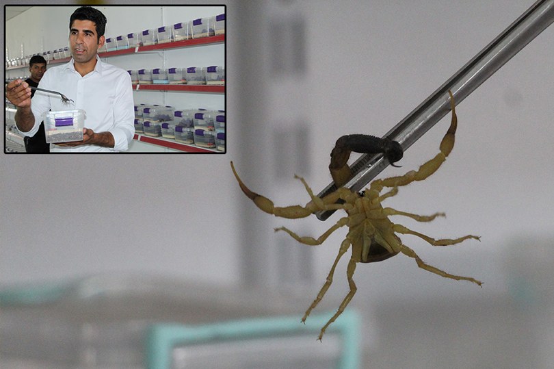 Okuduğu makale ile zehir üretmeye başladı