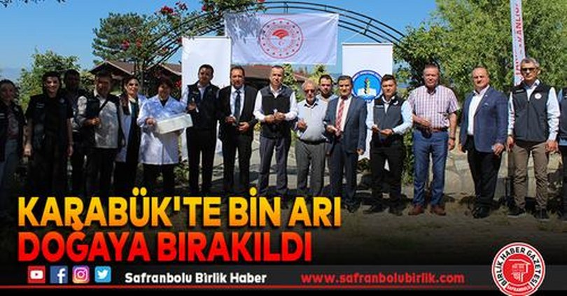 Safranbolu’da  Samuray Arıları Görevde!