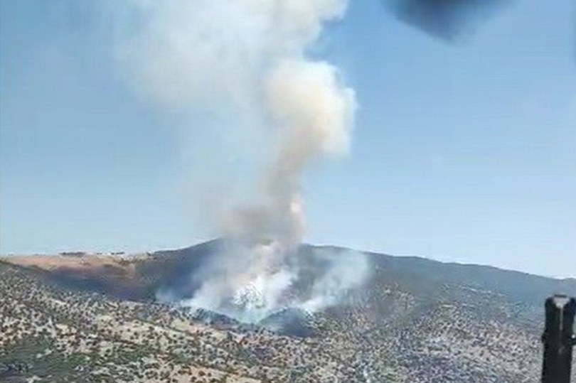 Manisa’da orman yangını