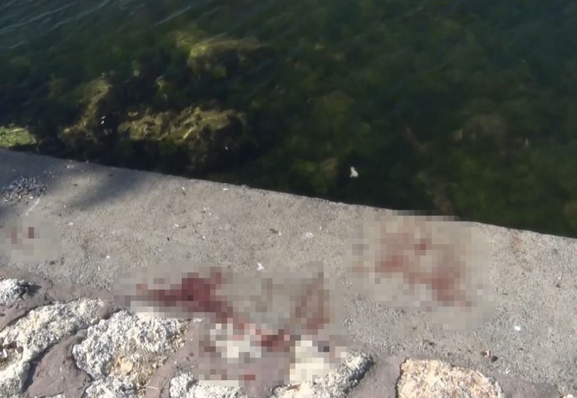 Önce bıçakladılar, sonra denize attılar