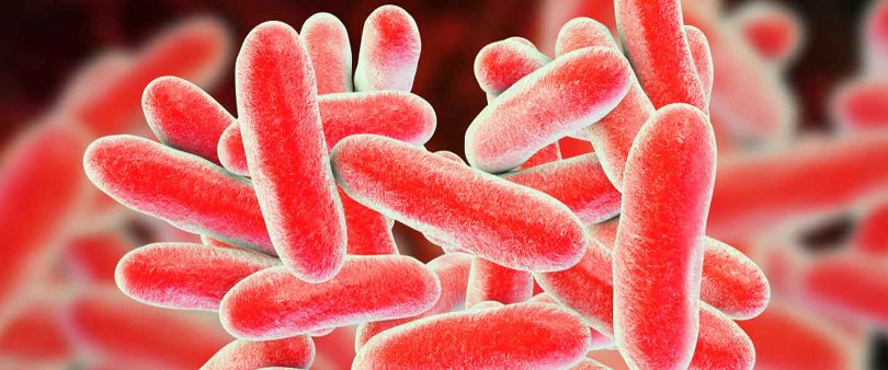 Yaz Aylarında Artan Klima Kullanımı Lejyoner Hastalığı Vakalarını Tetikliyor