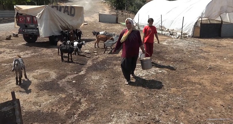 Depremzede kadın besici, devlet desteğiyle besiciliğe devam ediyor