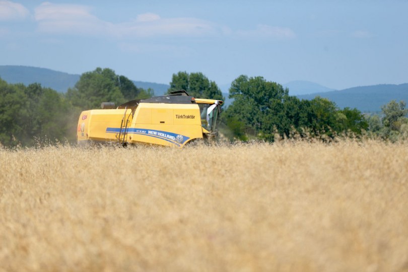Bolu’da ilk kez ekilen “Ayten abla” buğdayının hasadı yapıldı