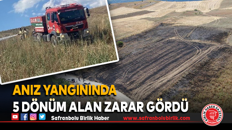 Anız yangınında 5 dönüm alan zarar gördü