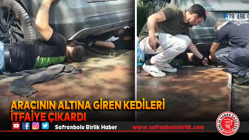 Aracının altına giren kedileri itfaiye çıkardı