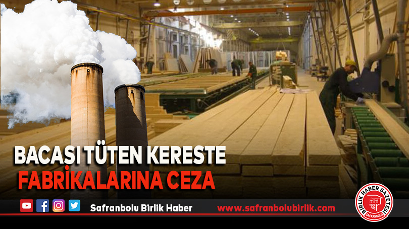 Bacası tüten kereste fabrikalarına ceza