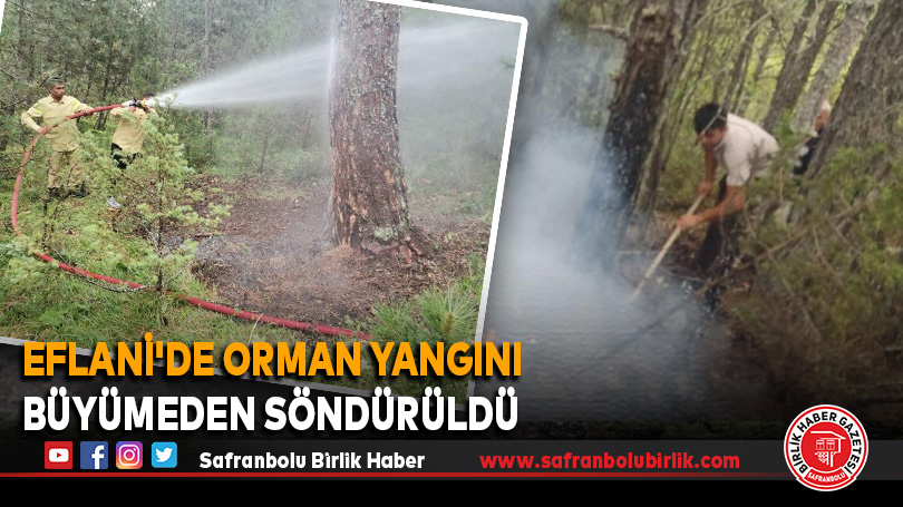 Eflani’de Orman Yangını Büyümeden Söndürüldü