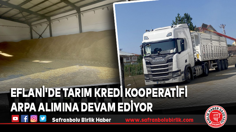 Eflani’de Tarım Kredi Kooperatifi Arpa Alımına Devam Ediyor