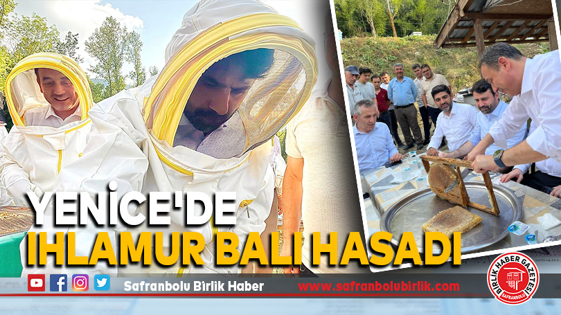 AK Parti Karabük Milletvekilleri Yenice’de İncelemelerde Bulundu