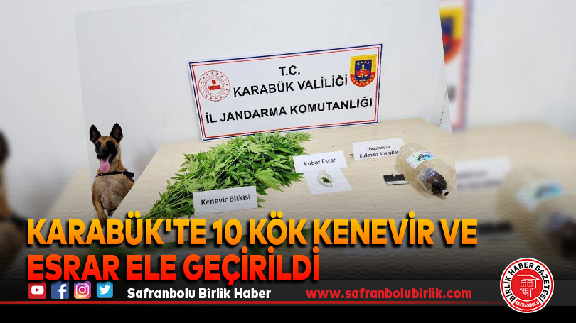 Karabük’te 10 Kök Kenevir ve Esrar Ele Geçirildi