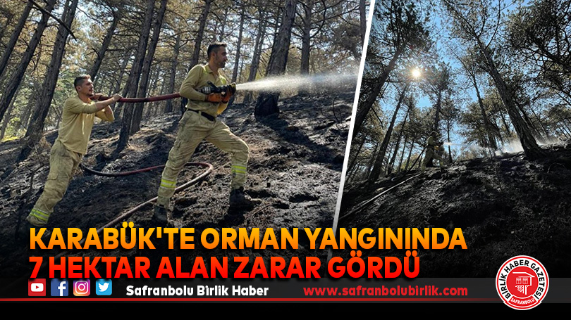 Karabük’te orman yangınında 7 hektar alan zarar gördü