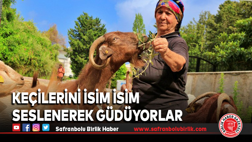 Antalya’nın modern çobanları