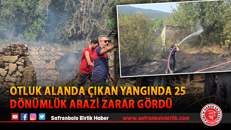 Otluk Alanda Çıkan Yangında 25 Dönümlük Arazi Zarar Gördü