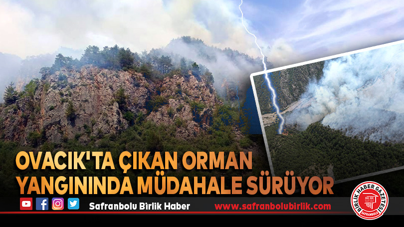Ovacık’ta Çıkan Orman Yangınında Müdahale Sürüyor