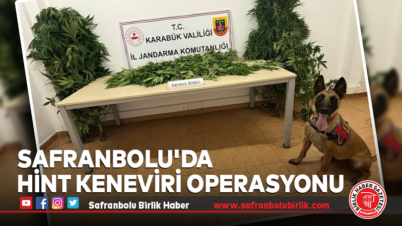 Safranbolu’da Hint Keneviri Operasyonu
