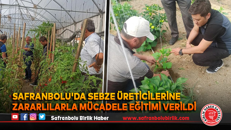 Safranbolu’da Sebze Üreticilerine Zararlılarla Mücadele Eğitimi Verildi