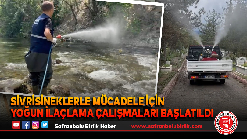 Sivrisineklerle Mücadele İçin Yoğun İlaçlama Çalışmaları Başlatıldı
