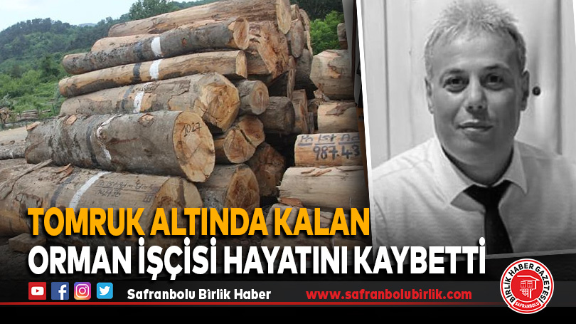 Yenice’de Tomruk Altında Kalan Orman İşçisi Hayatını Kaybetti
