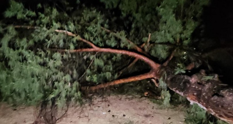 Fırtına ve sağanak evsiz bıraktı