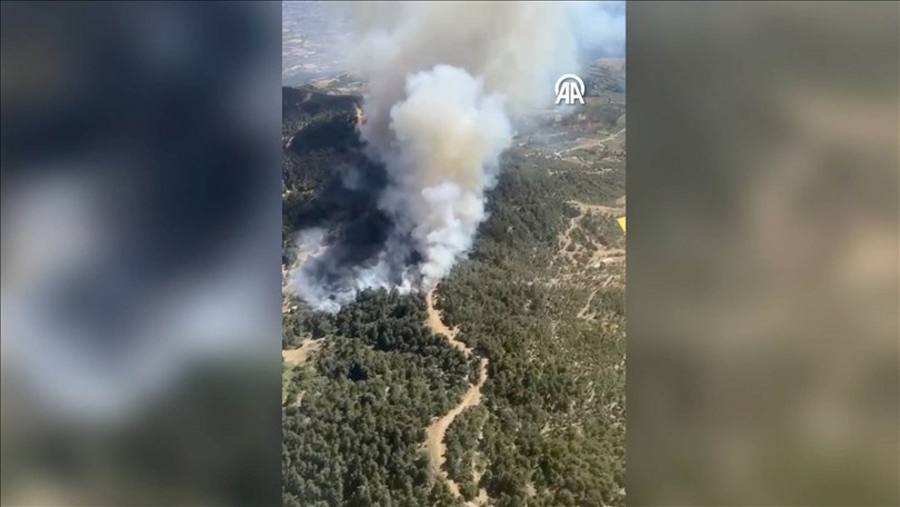 İzmir’de orman yangınına ekiplerce müdahale ediliyor