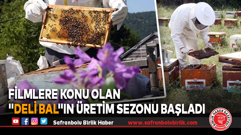 Filmlere konu olan “deli bal”ın üretim sezonu başladı