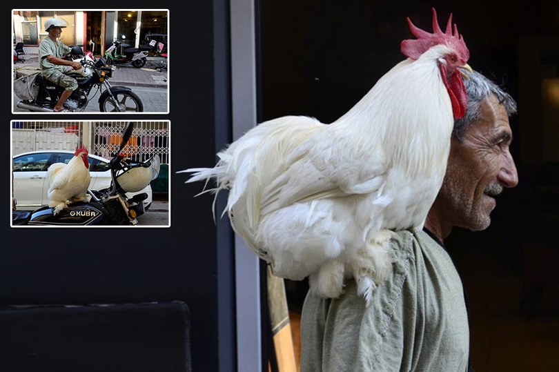 Gören dönüp bir daha bakıyor