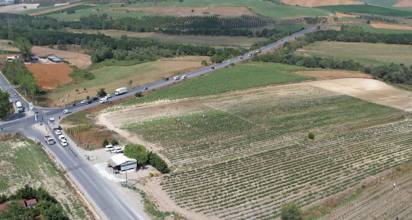 İstanbul bu tarlaya akın ediyor, vatandaşlar tarladan topladıkları ürünleri satın alıyor