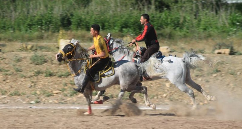 Cirit müsabakasında atlar çarpıştı yürekler ağızlara geldi