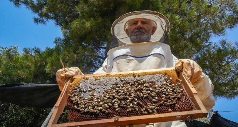 Oğlunun ölümünün ardından dedesinden kalma arıcılık mesleğiyle hayata tutundu