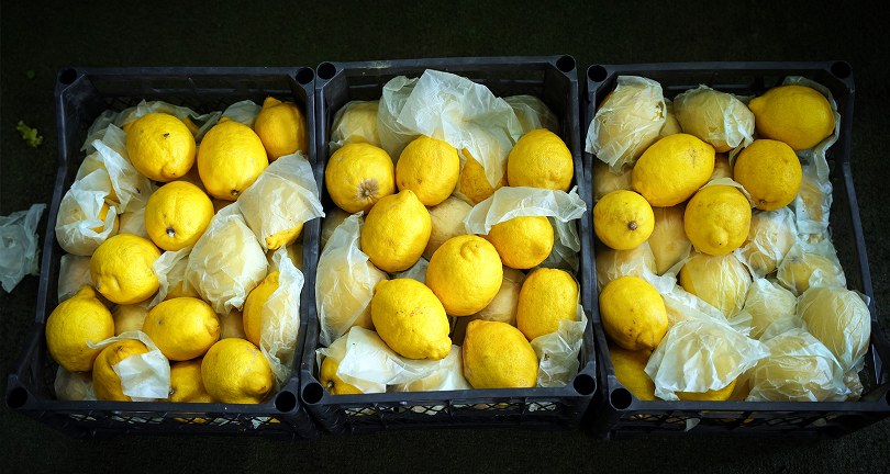 Limonun tanesi 10 TL’ye dayandı