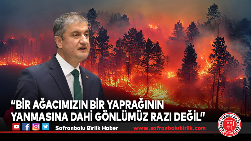 “Bir ağacımızın bir yaprağının yanmasına dahi gönlümüz razı değil”