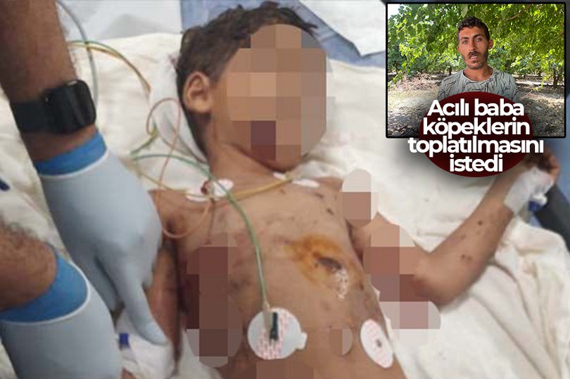 Dehşete düşüren olay!