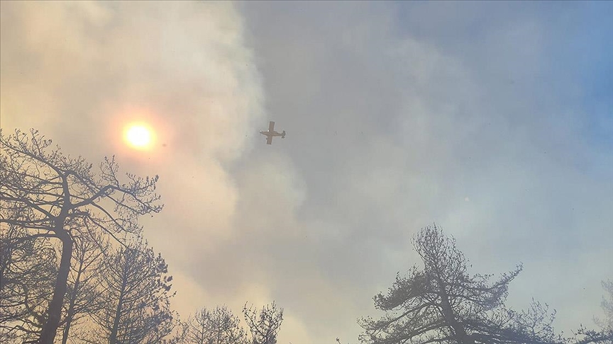 Orman yangınına ekiplerce müdahale ediliyor