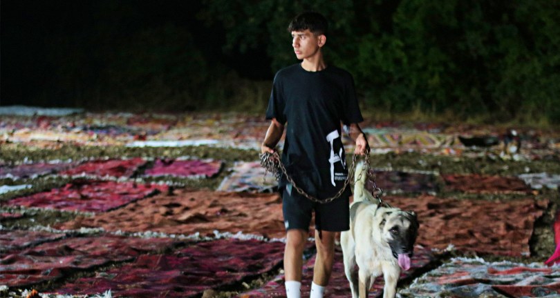 Tarlada milyonluk halı nöbeti: Güneş batınca başlıyor, doğunca bitiriyorlar