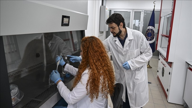 Koyunun Kalp Kapakçığından Kalp Kapakçığı İmplantı Üretildi