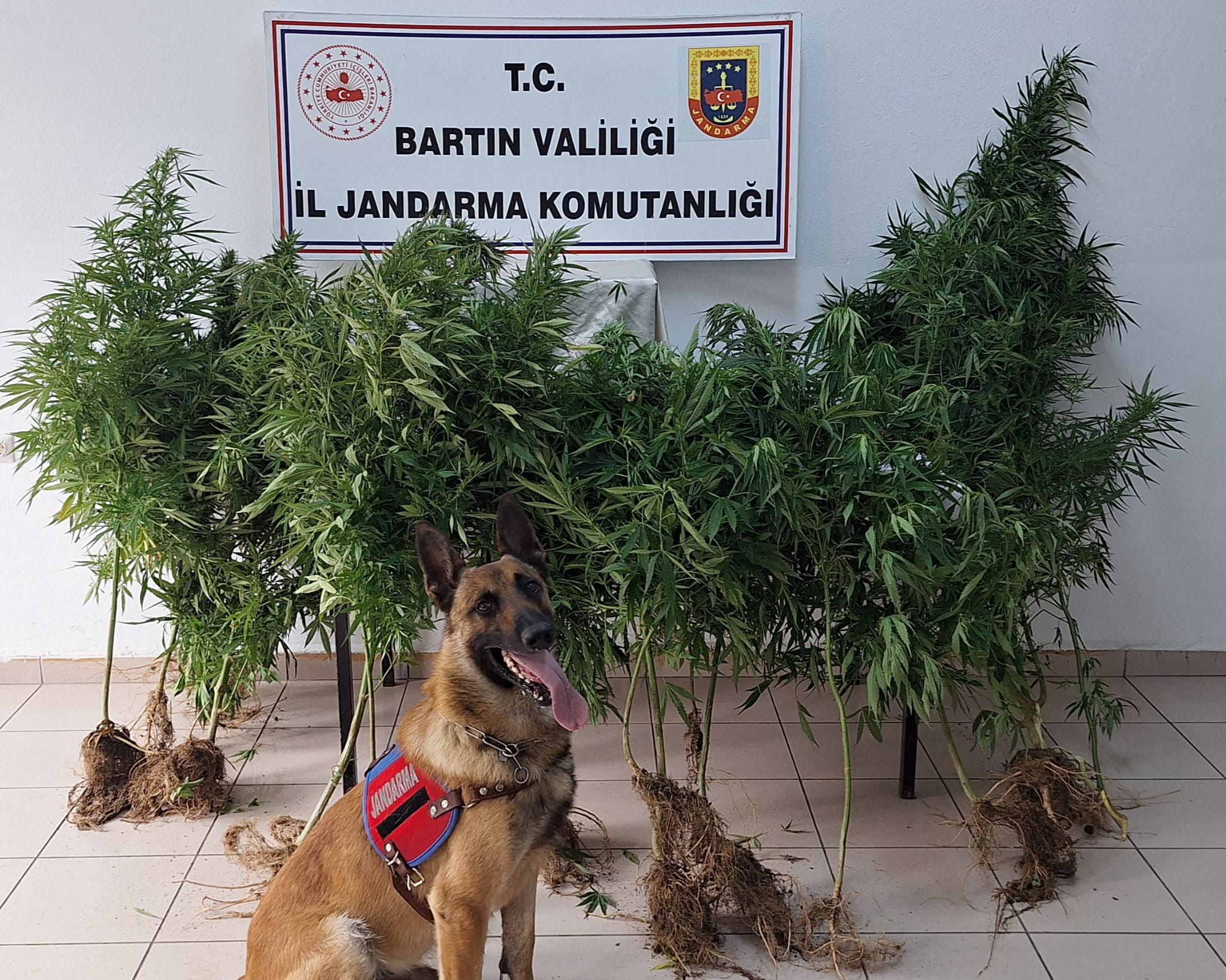 Bartın’da Uyuşturucu Operasyonu