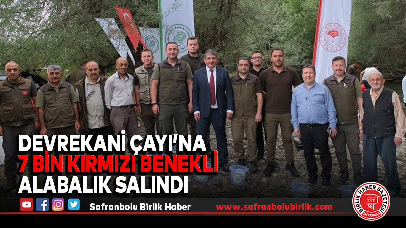 Devrekani Çayı’na 7 Bin Kırmızı Benekli Alabalık Salındı