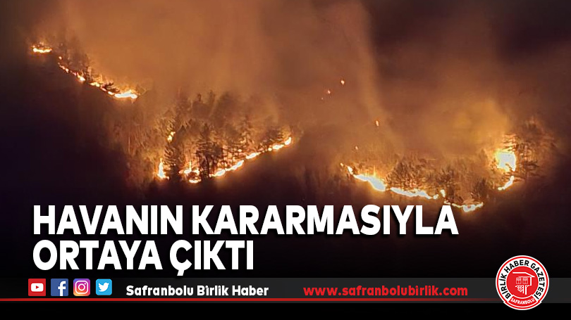 Ovacık’taki Orman Yangını 32 Saat Sonra Havanın Kararmasıyla Ortaya Çıktı