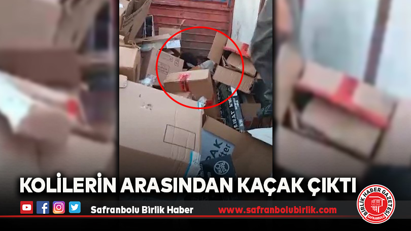 Kolilerin Arasından Kaçak Çıktı