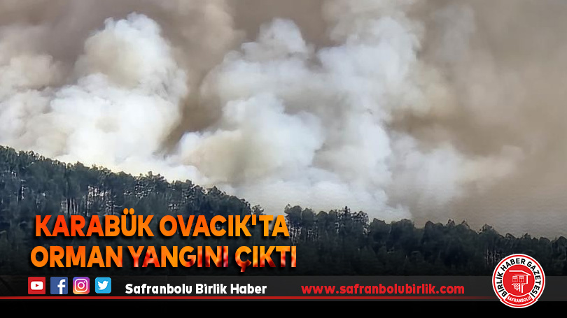 Karabük Ovacık’ta Orman Yangını Çıktı