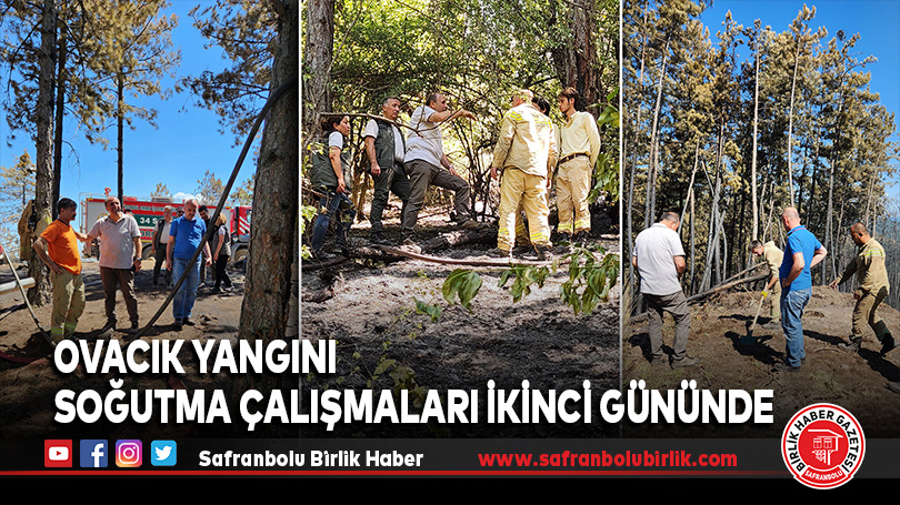 Ovacık Yangını Soğutma Çalışmaları İkinci Gününde